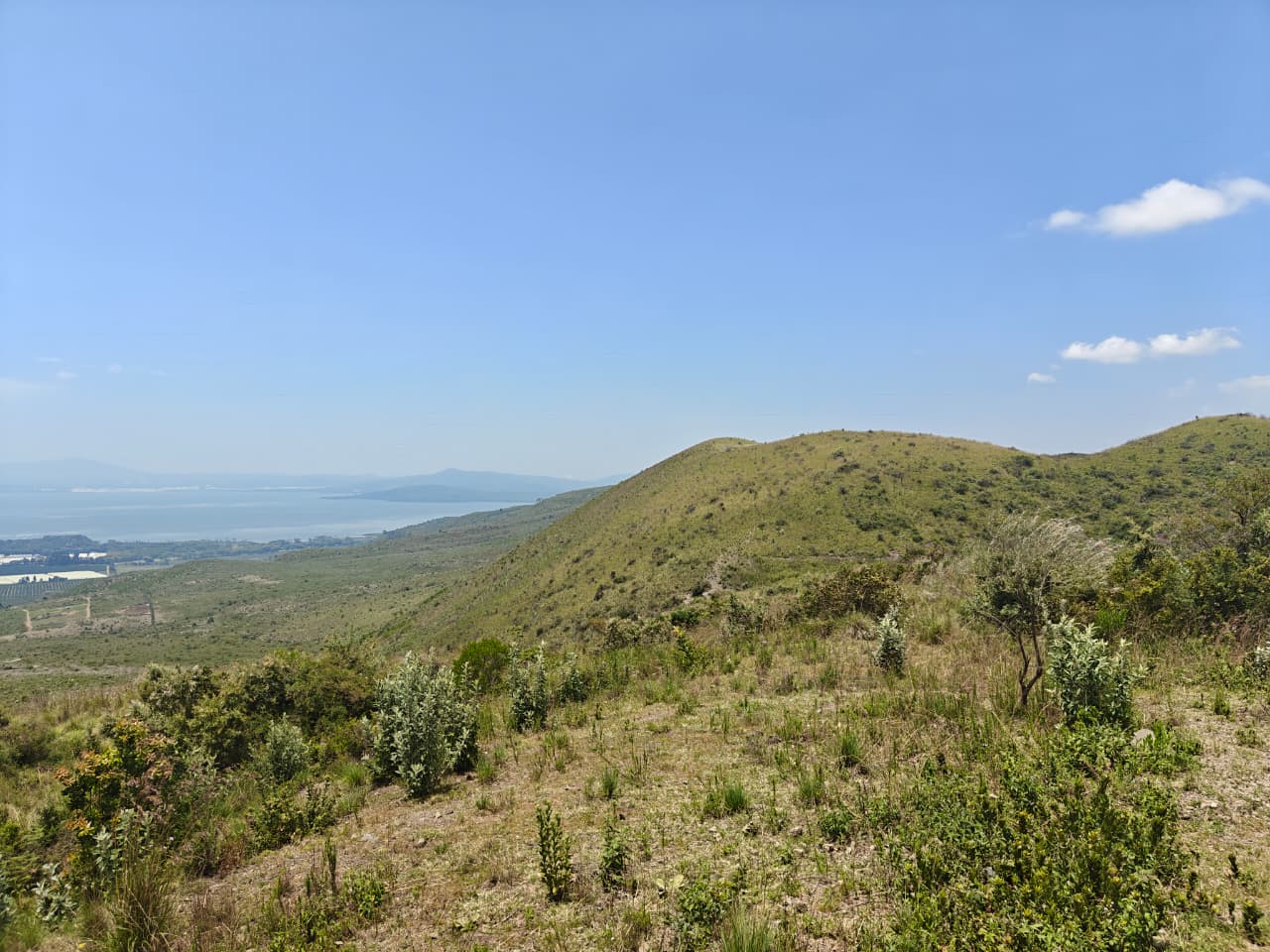 Natural vegetation across the Kilele ridge